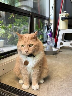 Meet your Posher, Kat